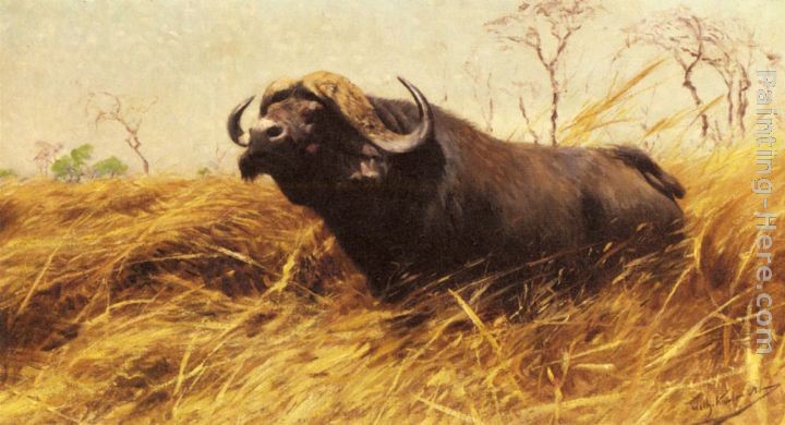 Wilhelm Kuhnert An African Buffalo